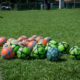 Najpopularniejsze zakłady sportowe: które dyscypliny warto obstawiać?